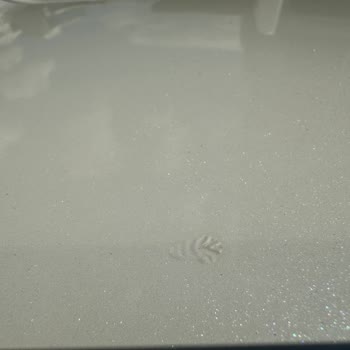 Nissan Aracımda Sunroof Ve Bagaj Sorunlarıyla Mağduriyet Yaşıyorum