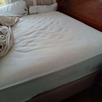 Yanlış Yönlendirme Ve Çöken Bambi Yatak