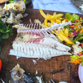 Kuzu Eti İstemedik, Pişman Olduk: Alaycı Tavır Ve Temizlenmemiş Balık