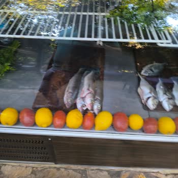 Kuzu Eti İstemedik, Pişman Olduk: Alaycı Tavır Ve Temizlenmemiş Balık