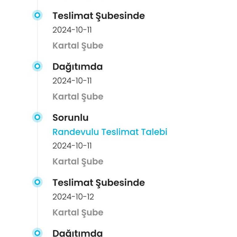Kargoist Kartal Şubesi'nin Dağıtım Sorunları Ve Müşteri Hizmetleri Erişimsizliği