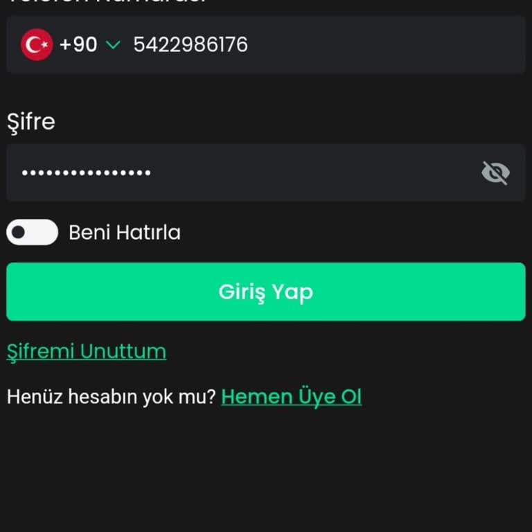 Bitay Uygulamasına Erişim Sorunu Ve Destek Eksikliği