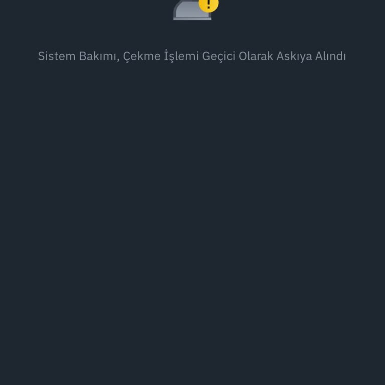 Binance TR'de ERC20 Transfer Sorunu