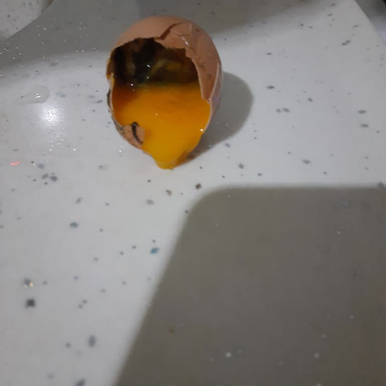 BİM Marketten Alınan Yumurtalarda Siyahlık Problemi