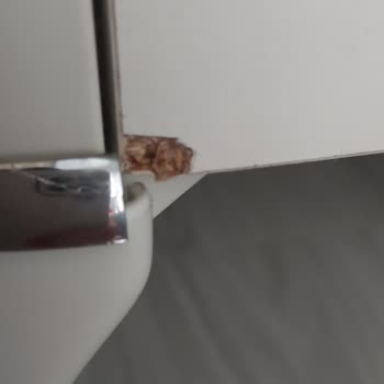 Batılı Mobilya Kurulumunda Hasar Ve İletişim Sorunu