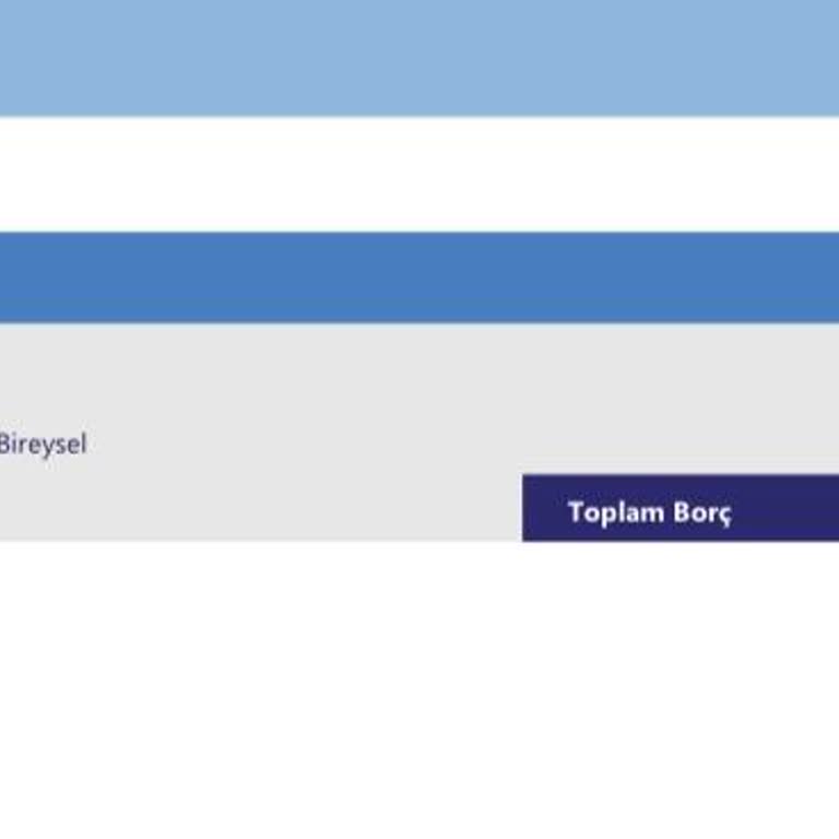 Ödeme Yapmama Rağmen Kredi Risk Raporumda Halen Görünen Borç