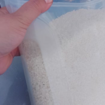 Market Alışverişinde Böcek Şoku