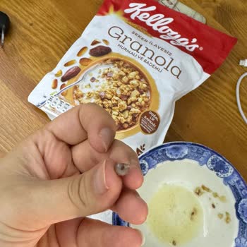 Date Pit Found in Kellogg's Date & Almond Granola – Nearly Broke a Tooth