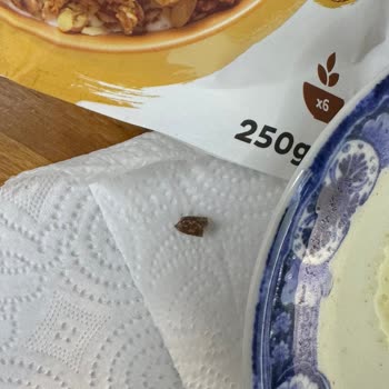 Date Pit Found in Kellogg's Date & Almond Granola – Nearly Broke a Tooth