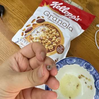 Date Pit Found in Kellogg's Date & Almond Granola – Nearly Broke a Tooth