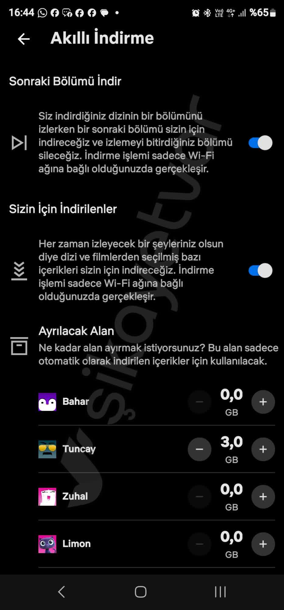 NETFLIX UYGULAMAS N INDIRME visual data 4