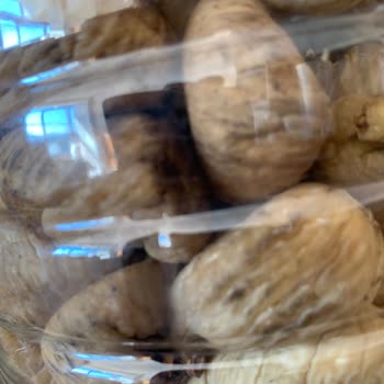 Kurtlu İncir Ve Yanıltıcı Yönlendirme Sorunu