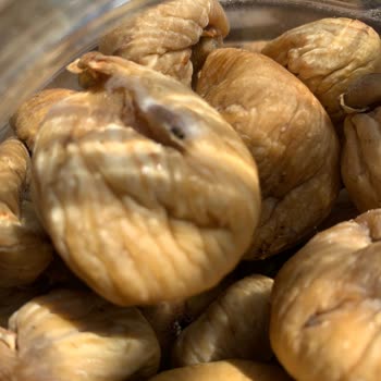 Kurtlu İncir Ve Yanıltıcı Yönlendirme Sorunu