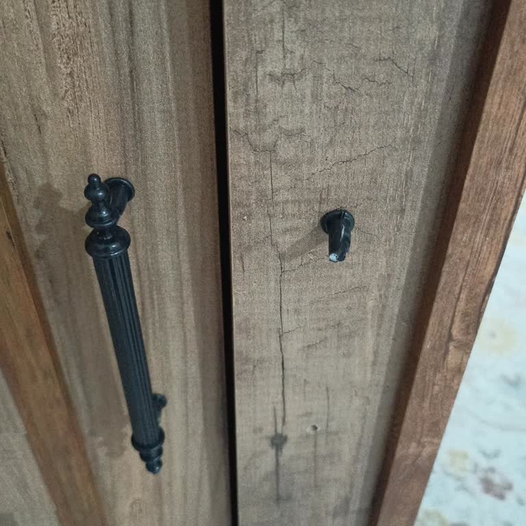 Lina Mobilya Mağazasından Alınan Gardırop Montaj Sorunları Ve İlgisizlik