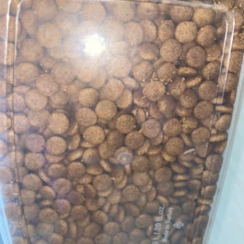 Kedi Mamalarında Kurtlanma Sorunu Ve Çözüm Arayışı