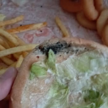 Küflü Burger Ve Yetersiz Destek: Popeyes Ve Migros Yemek Hayal Kırıklığı