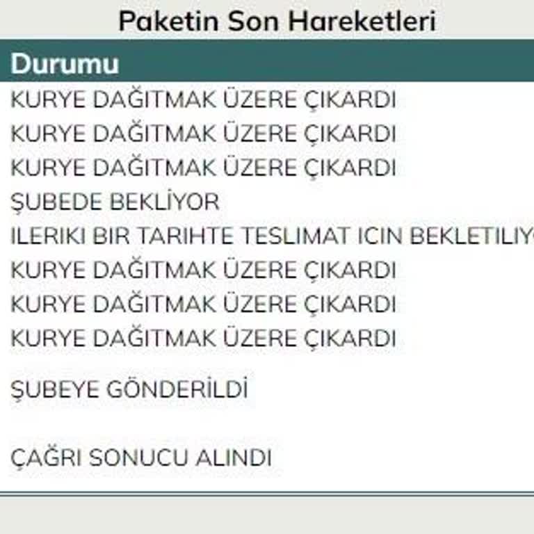 Kargomun Teslim Edilememesi Ve UPS'in İletişim Sorunları