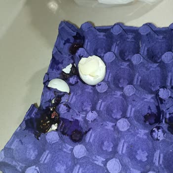 Güvenilir Marketin Bozulan Kalitesi