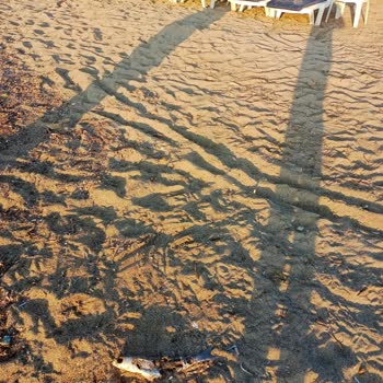 Disappointing Honeymoon Experience at My Ella Bodrum Resort & SPA – Dirty Beach and Sea