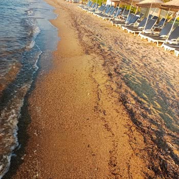 Disappointing Honeymoon Experience at My Ella Bodrum Resort & SPA – Dirty Beach and Sea