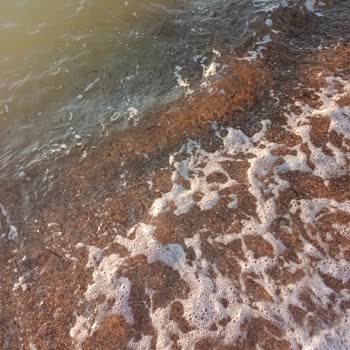 Disappointing Honeymoon Experience at My Ella Bodrum Resort & SPA – Dirty Beach and Sea