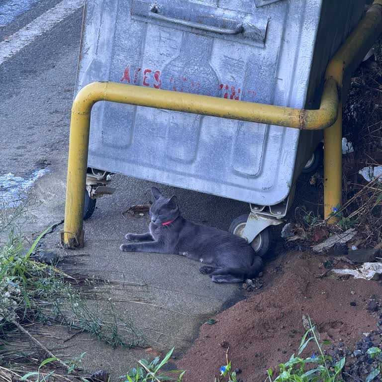 ATM Para Yatırma Sorunu Ve Geciken Çözüm