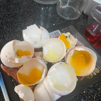 Bozuk Yumurtalar Ve Kayıp Fiş Sorunu