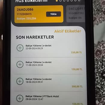 E-devlet | Turkiye.gov.tr HGS Bakiye Yükleme Sorunu Ve Çözüm Talebi