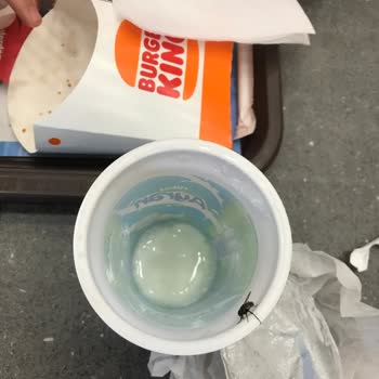 Margi Burger King'de Hijyen Ve Kalite Sorunları