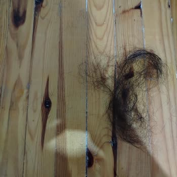 Urban Care Şampuan: Saç Dökülmesi Ve Cilt Problemleri