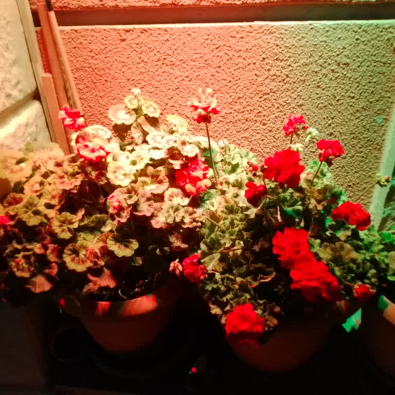 Bitci Borsası'nda Güven Kaybı Ve Yakım Sorunları