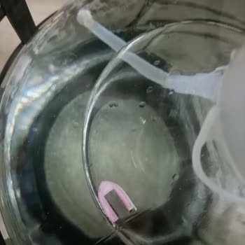 Hijyen Sorunu: Damacanada Plastik Madde Şoku