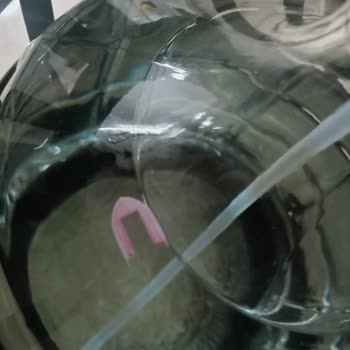 Hijyen Sorunu: Damacanada Plastik Madde Şoku