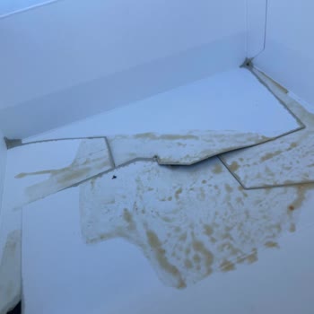 Yanlış Sipariş Ve Hijyen Sorunları