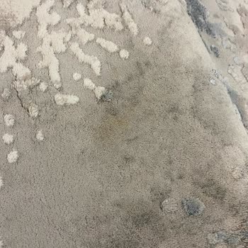 Özmen Halı Yıkama (İzmir), Halımın Rengi Değişmiş Lekeler Çıkmamış!