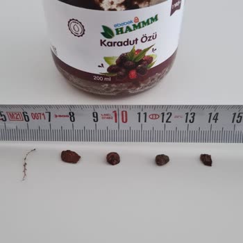 Bebek Gıdasında Tehlikeli Yabancı Cisimler