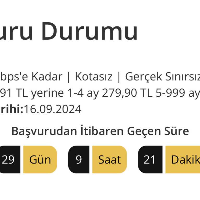 İnternet Bağlantısında 29 Günlük Bekleyiş: Müşteri Memnuniyetsizliği Zirvede