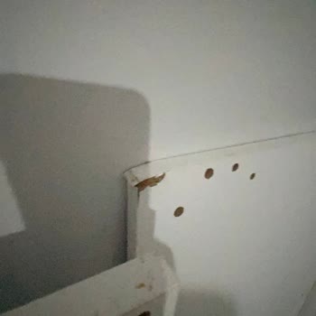 Bbutik Mobilya Dolap Kurulumu Sonrası Kırık Parçalar Ve İlgisiz Müşteri Hizmetleri