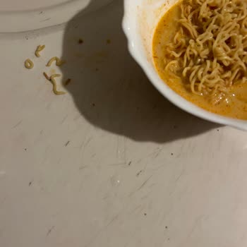 Noodle Paketinden Çıkan Kurtlar Şok Etti