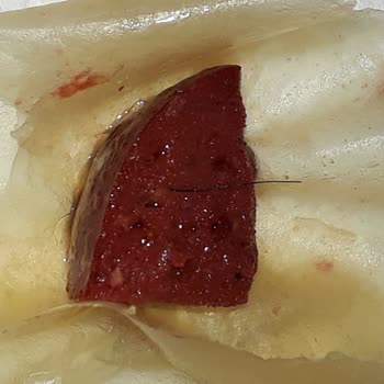 Güvenilir Markadan Beklenmedik Hata