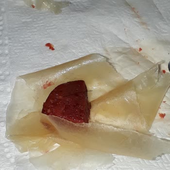 Güvenilir Markadan Beklenmedik Hata