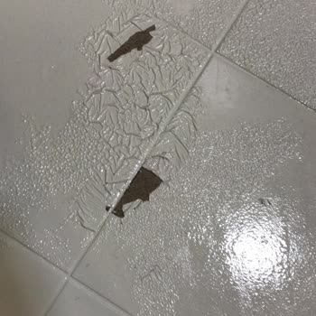 Vernik Tavsiyesi Yüzünden İşlerim Aksadı