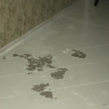 Vernik Tavsiyesi Yüzünden İşlerim Aksadı