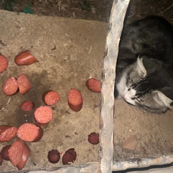 Getir'den Sucuk Siparişi Hüsranı