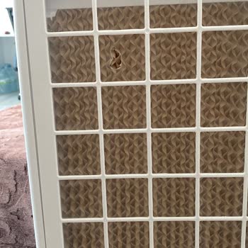 Sigorta Ücreti Ödendi, Tamir Gerçekleşmedi