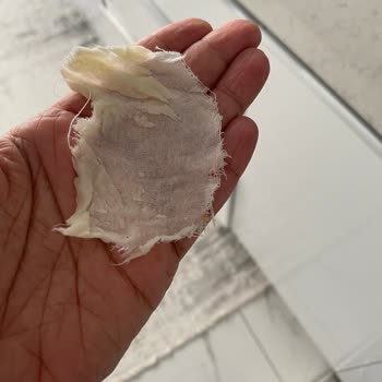 Boyacıoğulları Ömür Süt Ürünleri Kaşar Peynirinin İçinden Bez Parçası Çıktı!