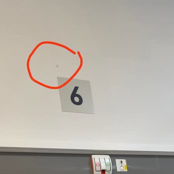 Yeni Hastanede Sivrisinek Sorunu: Sağlık Sistemi Çöktü Mü