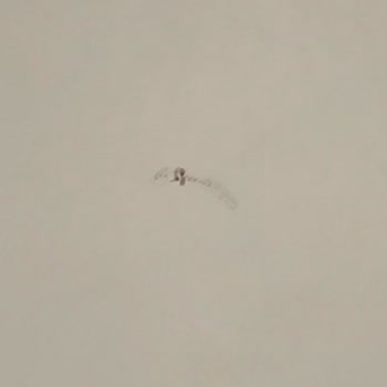 Yeni Hastanede Sivrisinek Sorunu: Sağlık Sistemi Çöktü Mü