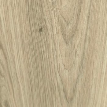 Yeni Hastanede Sivrisinek Sorunu: Sağlık Sistemi Çöktü Mü