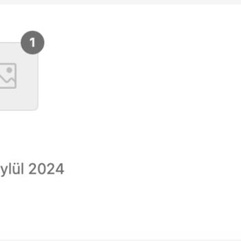 Geciken Kargo: Yurt Dışında Bekleyen Sipariş